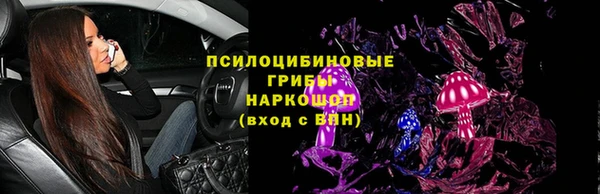 соль ск Алзамай