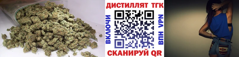 ТГК концентрат закладки Злынка
